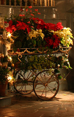 poinsettia-wagon